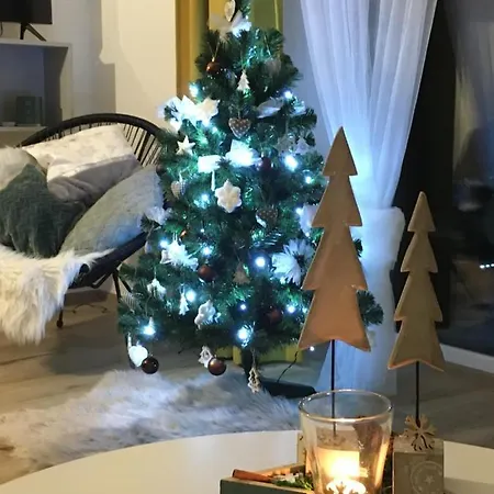 Trio Apartment Horni Marsov