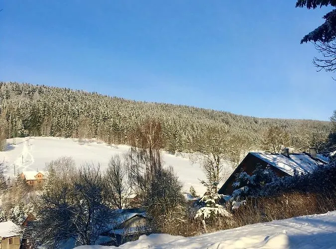 Trio Apartment Horní Maršov